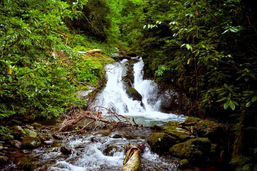 ცხემვანის (რუშავის) ჩანჩქერი