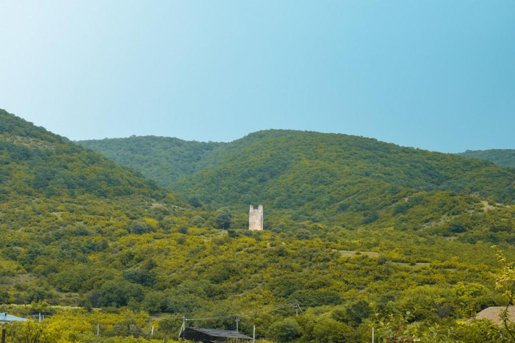 ფიცხელაურების მრიზიანთ კოშკი