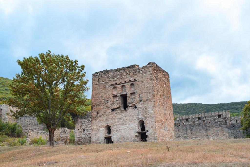 ნიჩბისის ციციშვილების ციხე-დარბაზი