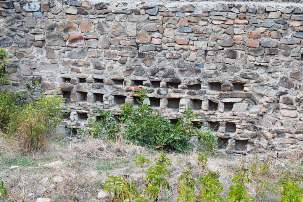 ნიჩბისის ციციშვილების ციხე-დარბაზი