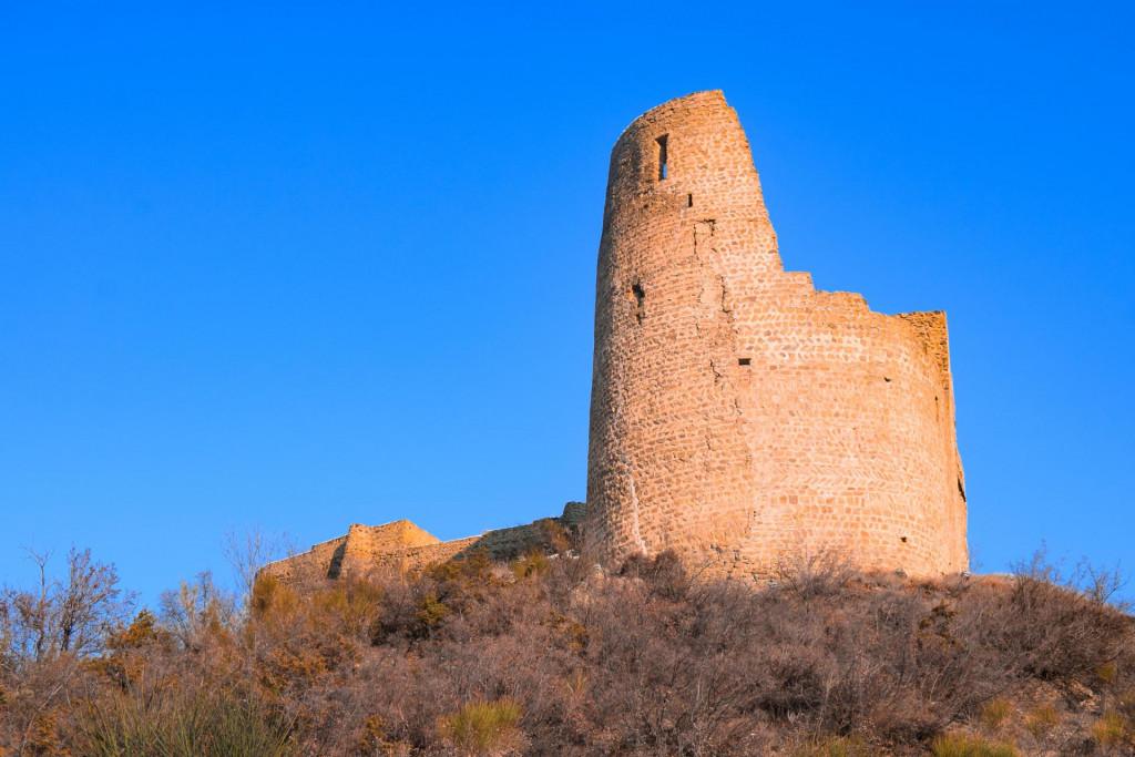 ბებრის ციხე