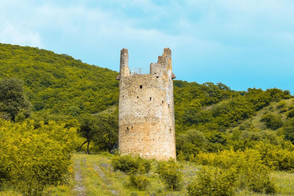 ფიცხელაურების მრიზიანთ კოშკი