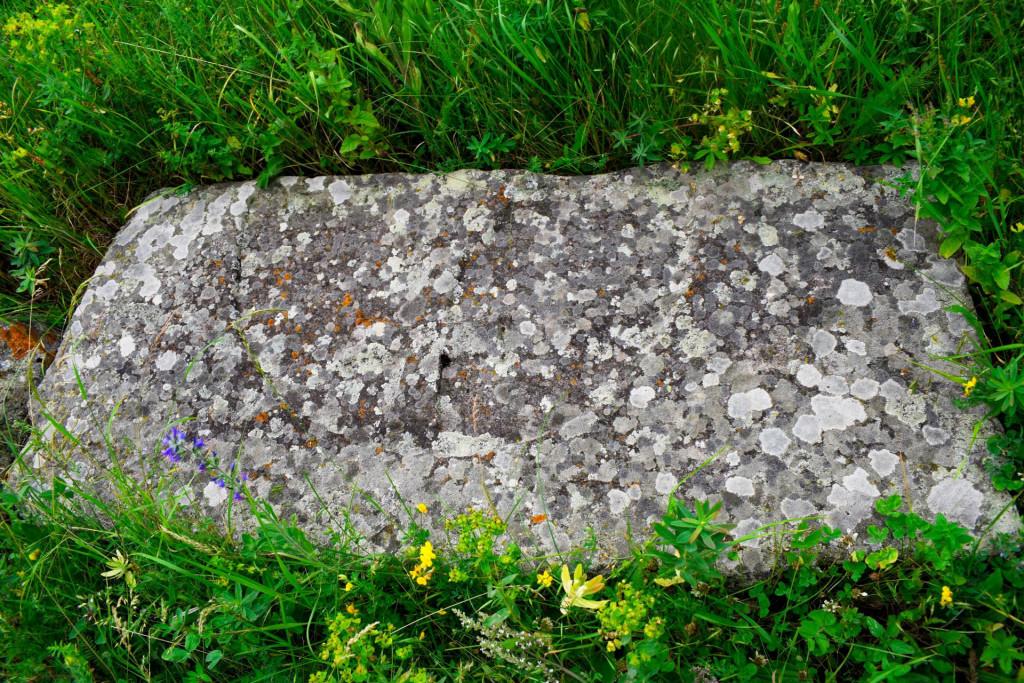 გომარეთის (ჭოჭიანის) სეფიაანთ საყდარი (თამარის სამწირველო)