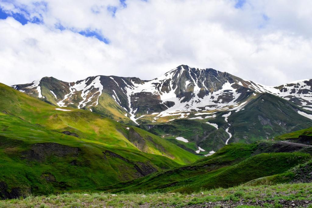 დათვისჯვარი