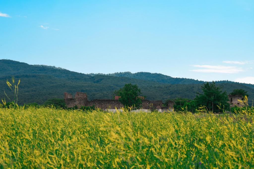 არტოზანის მაყაშვილების ციხე-დარბაზის კომპლექსი II