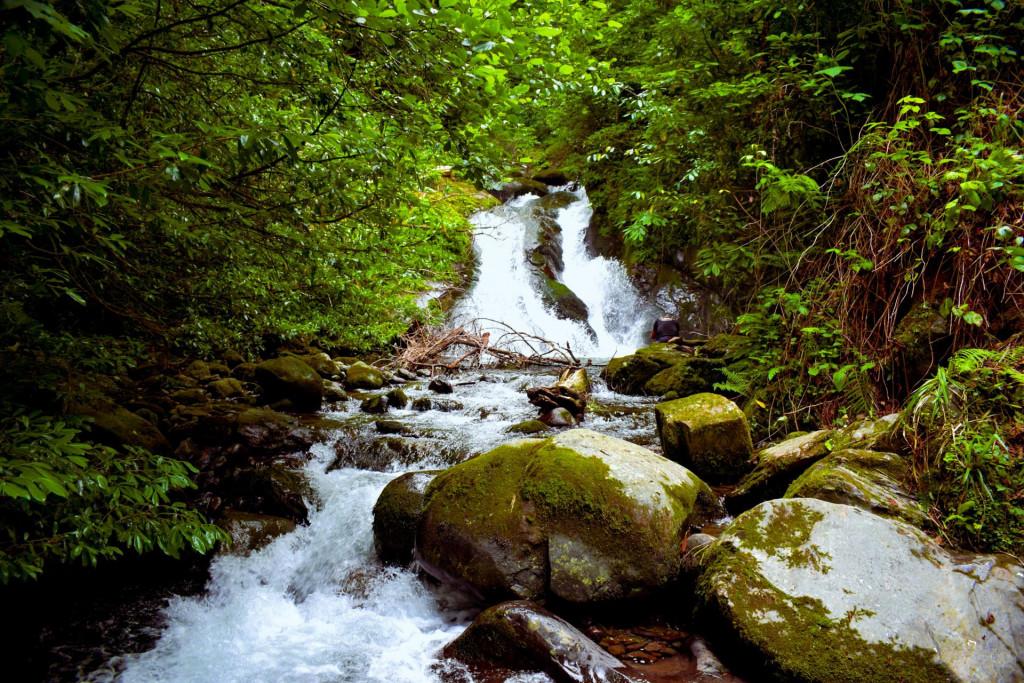 ცხემვანის (რუშავის) ჩანჩქერი