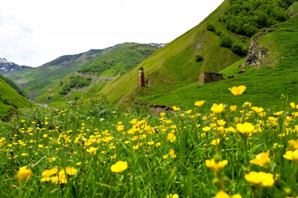 ლებაისკარი