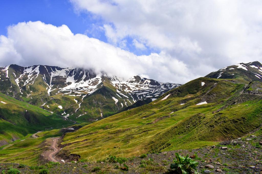 დათვისჯვარი