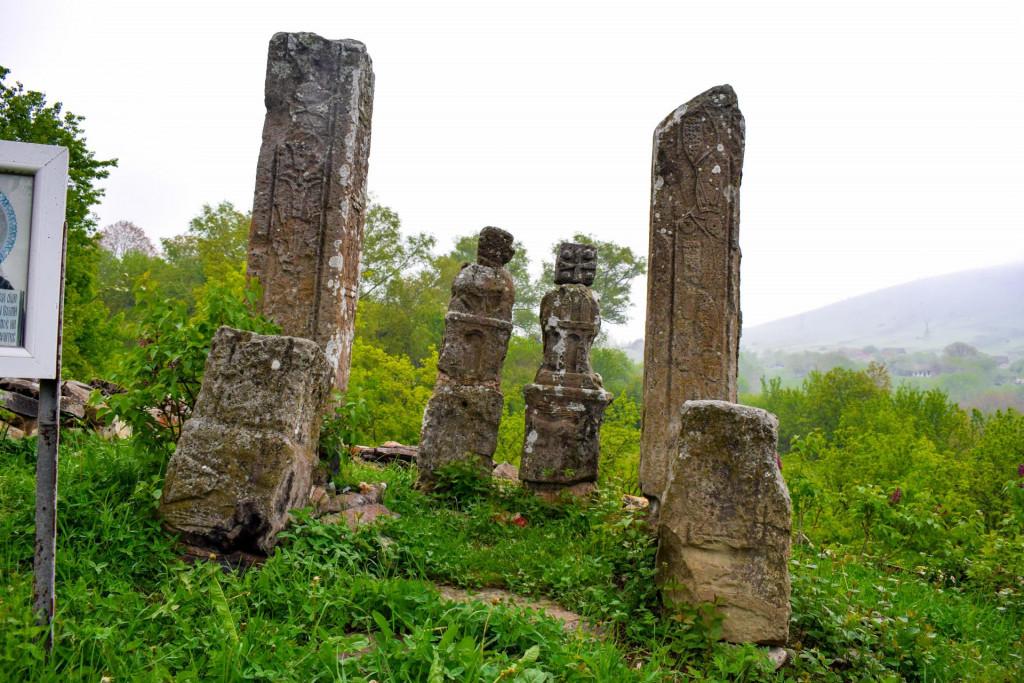 გომარეთის სტელები