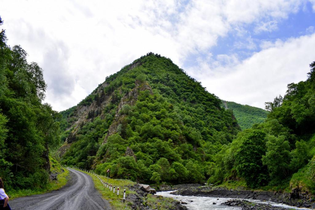 გუროს ნაწვეთარი