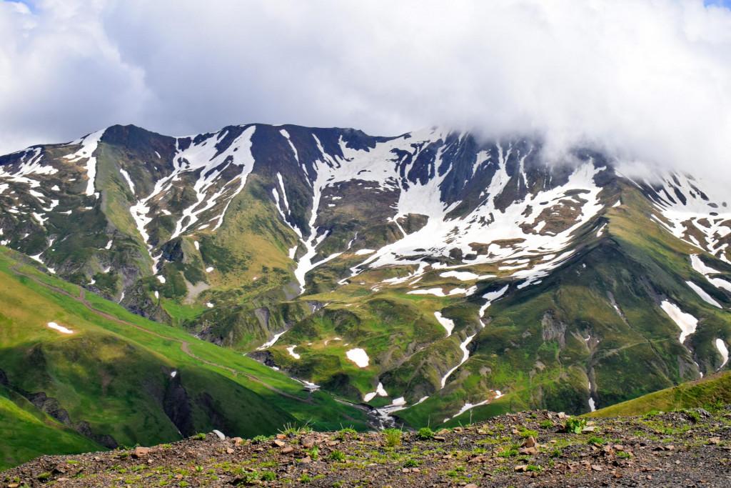 დათვისჯვარი