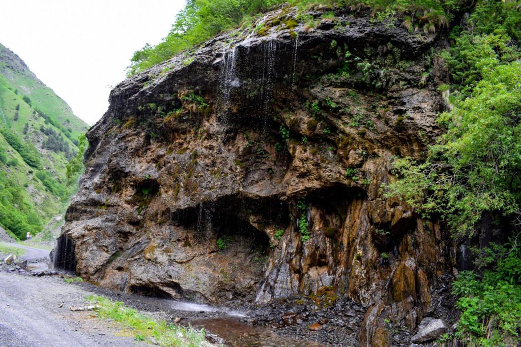 გუროს ნაწვეთარი