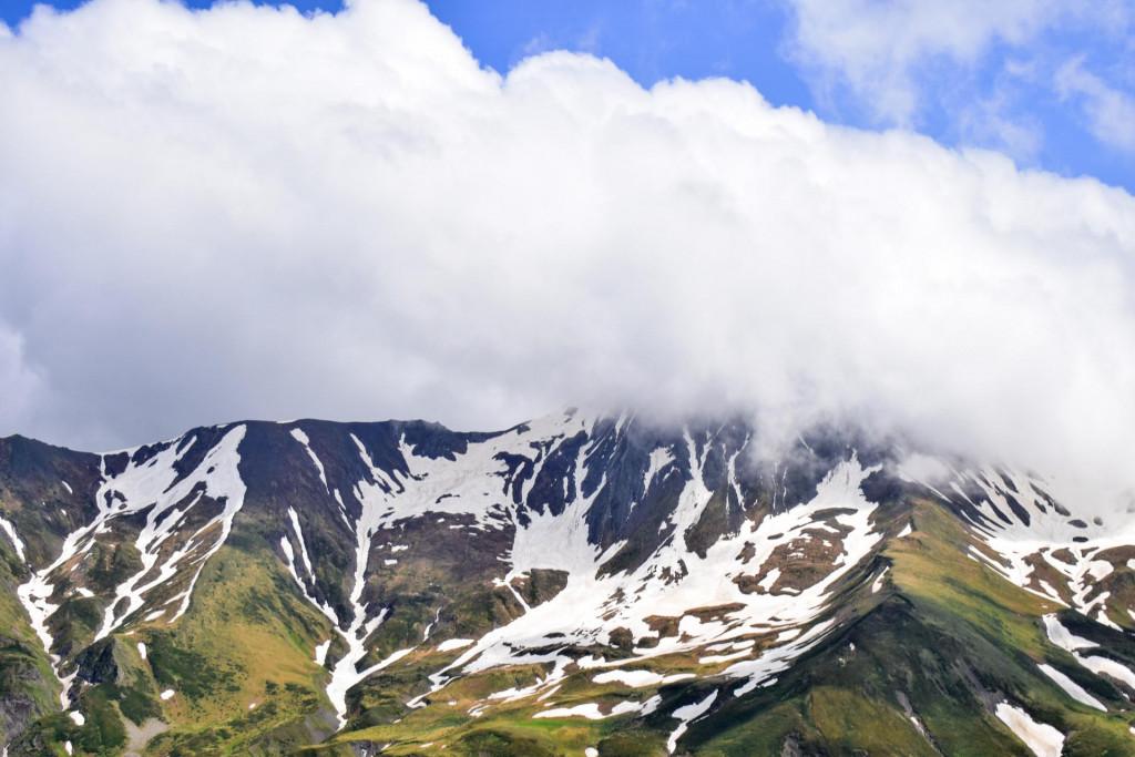 დათვისჯვარი