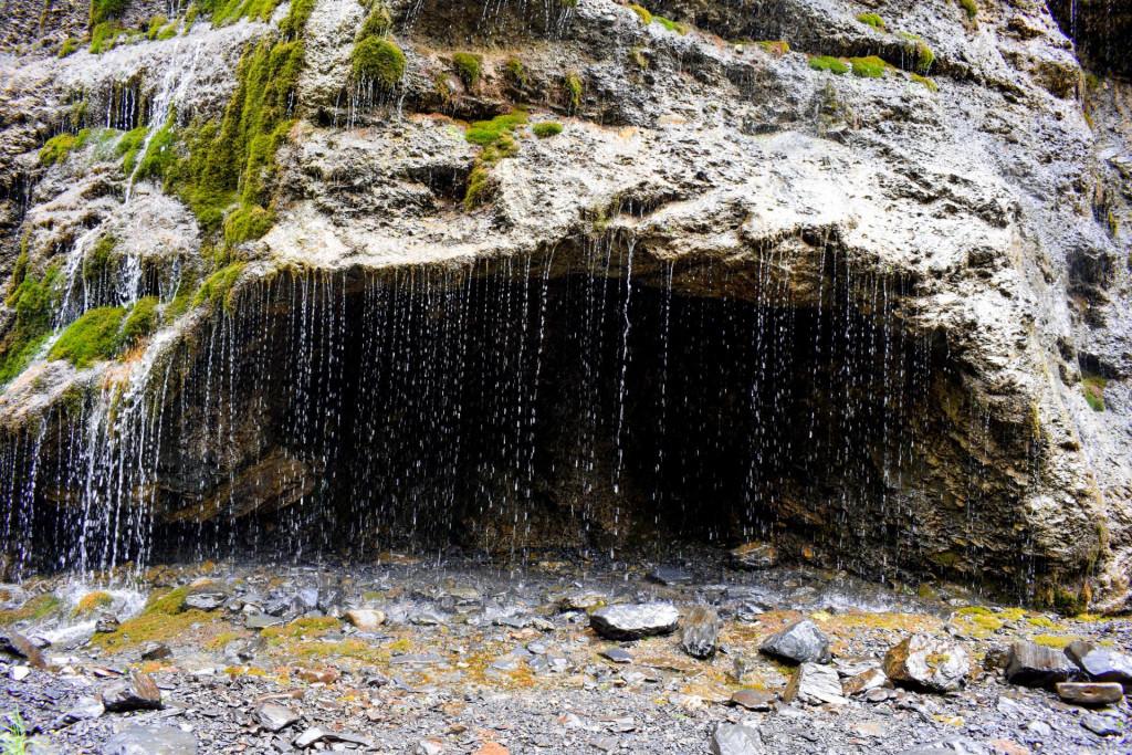 გუროს ნაწვეთარი