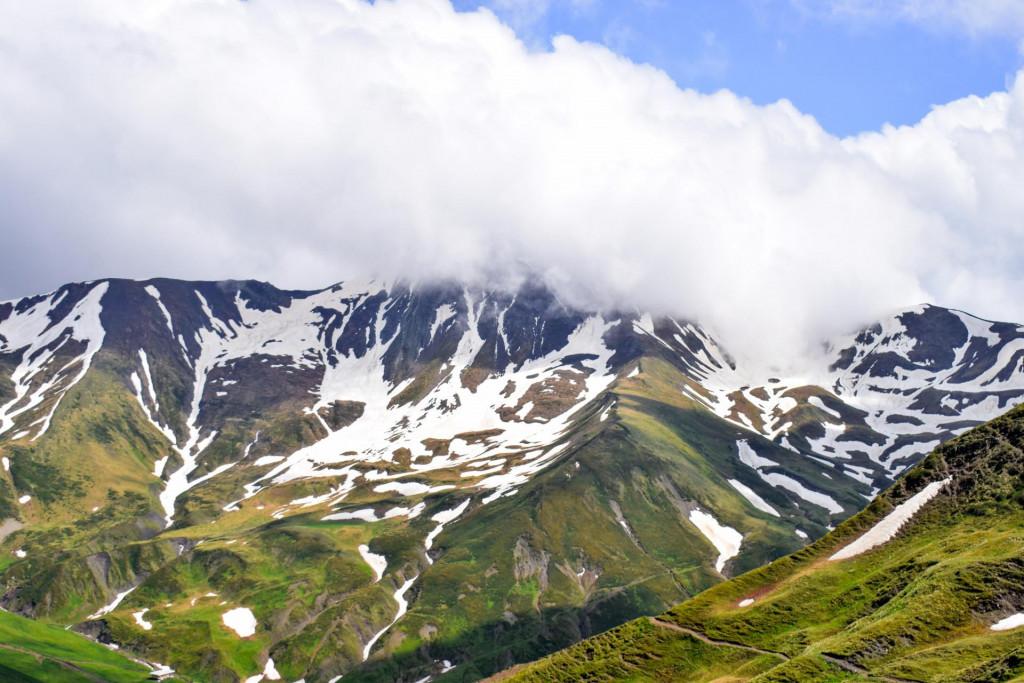 დათვისჯვარი