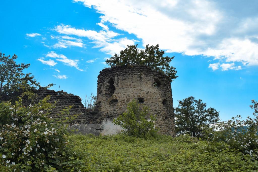 არტოზანის მაყაშვილების ციხე-დარბაზის კომპლექსი II