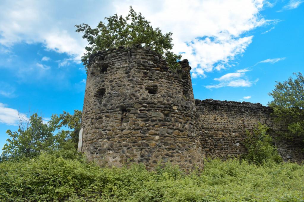 არტოზანის მაყაშვილების ციხე-დარბაზის კომპლექსი II