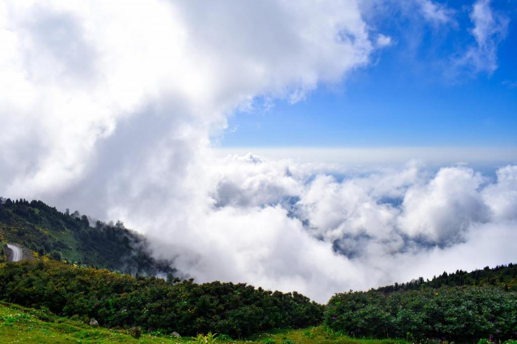 გომისმთა