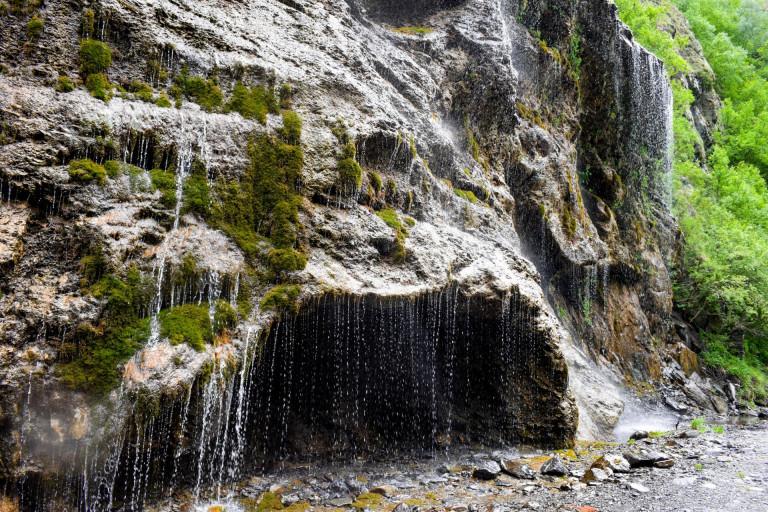გუროს ნაწვეთარი
