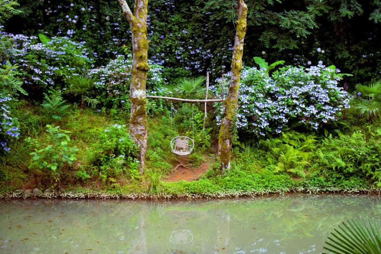 შუქურას პალმების ბილიკი