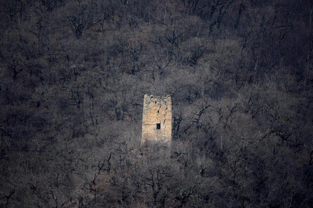 გუდრუხის კოშკი