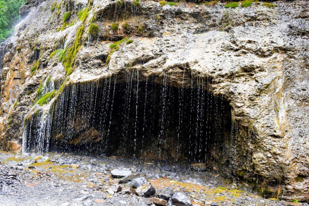 გუროს ნაწვეთარი