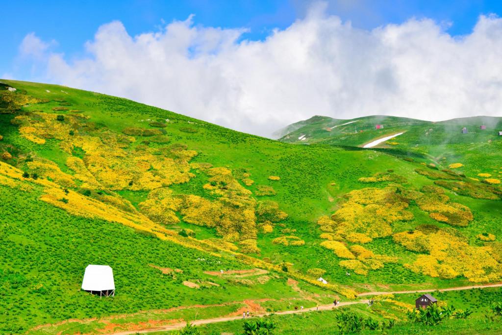 გომისმთა