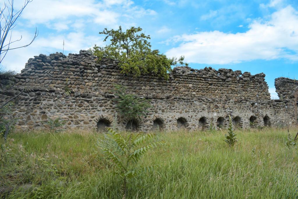 არტოზანის მაყაშვილების ციხე-დარბაზის კომპლექსი II
