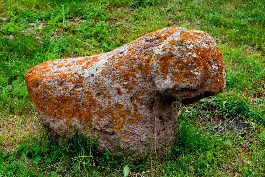 ფოკის წმინდა ნინოს სახელობის დედათა მონასტერი