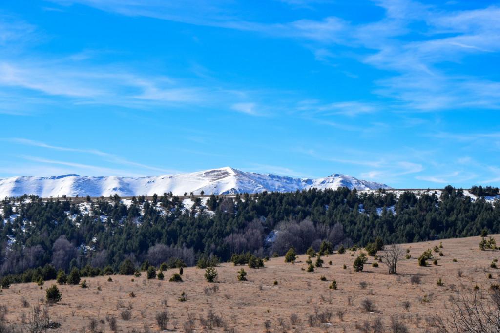 გულხანდისის ეკლესია
