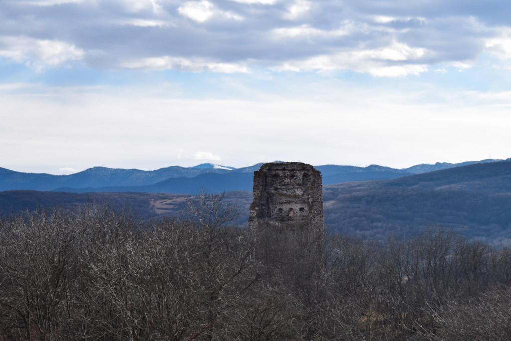გორულის ნაქალაქარის კოშკი