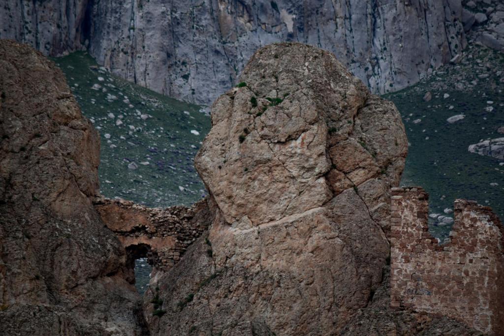 დოღუბეიაზითის ციხე