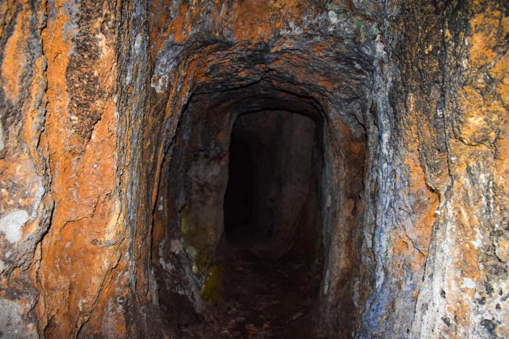 ნავარძეთის (თირის) ღვთისმშობლის მიძინების კომპლექსი