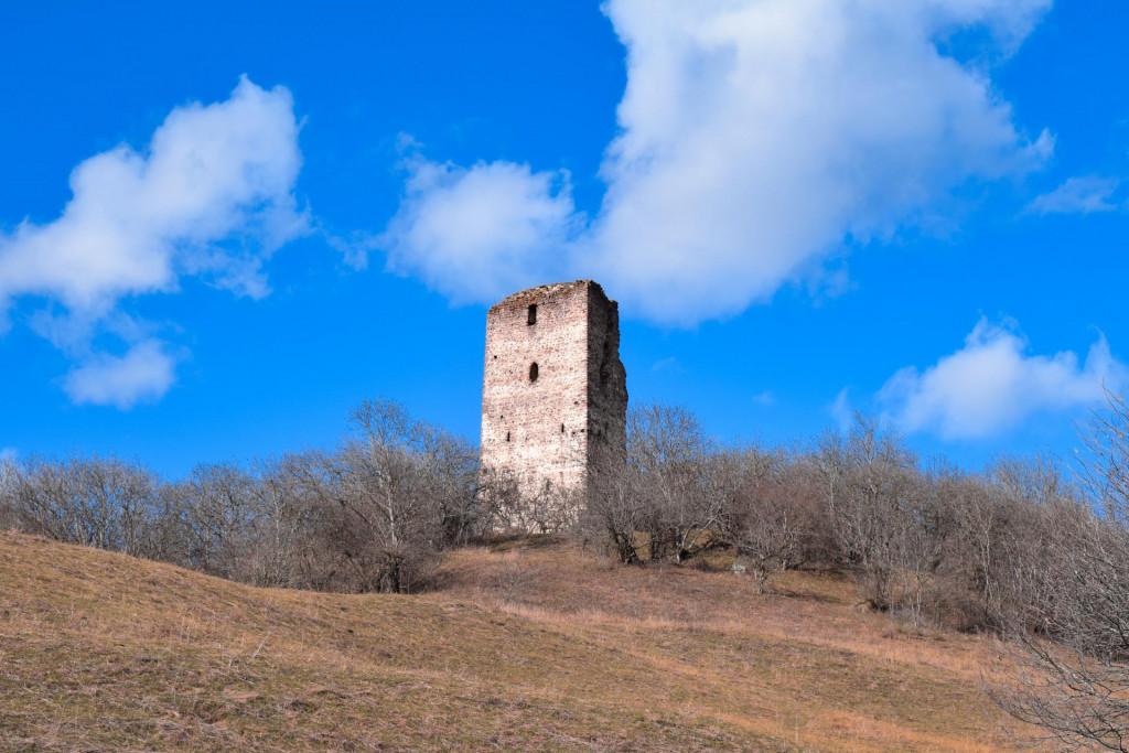 გორულის ნაქალაქარის კოშკი