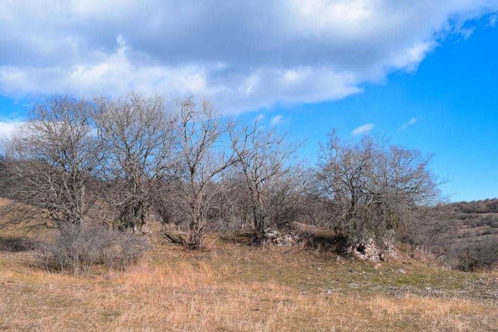 გორულის ნაქალაქარის კოშკი