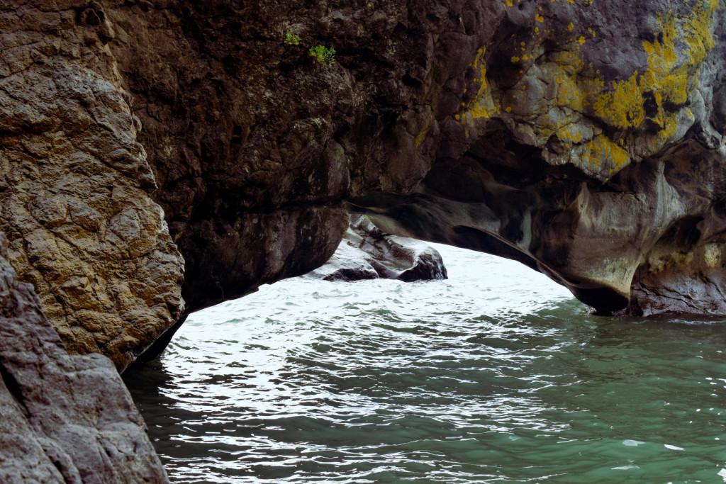 შუქურას პალმების ბილიკი