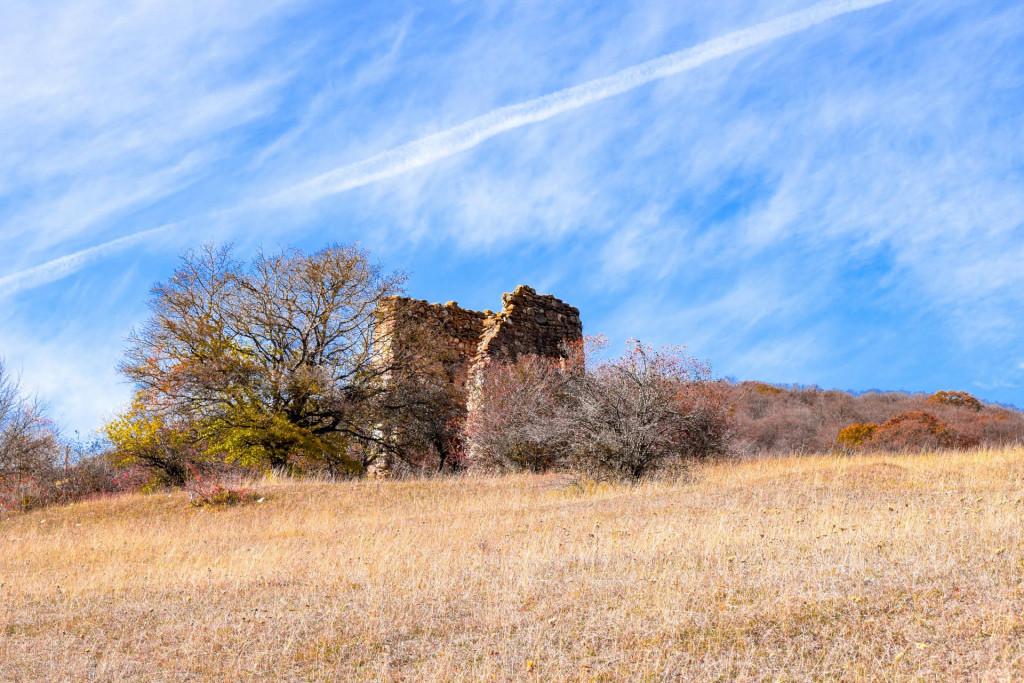 ბოდოჯის სასახლე