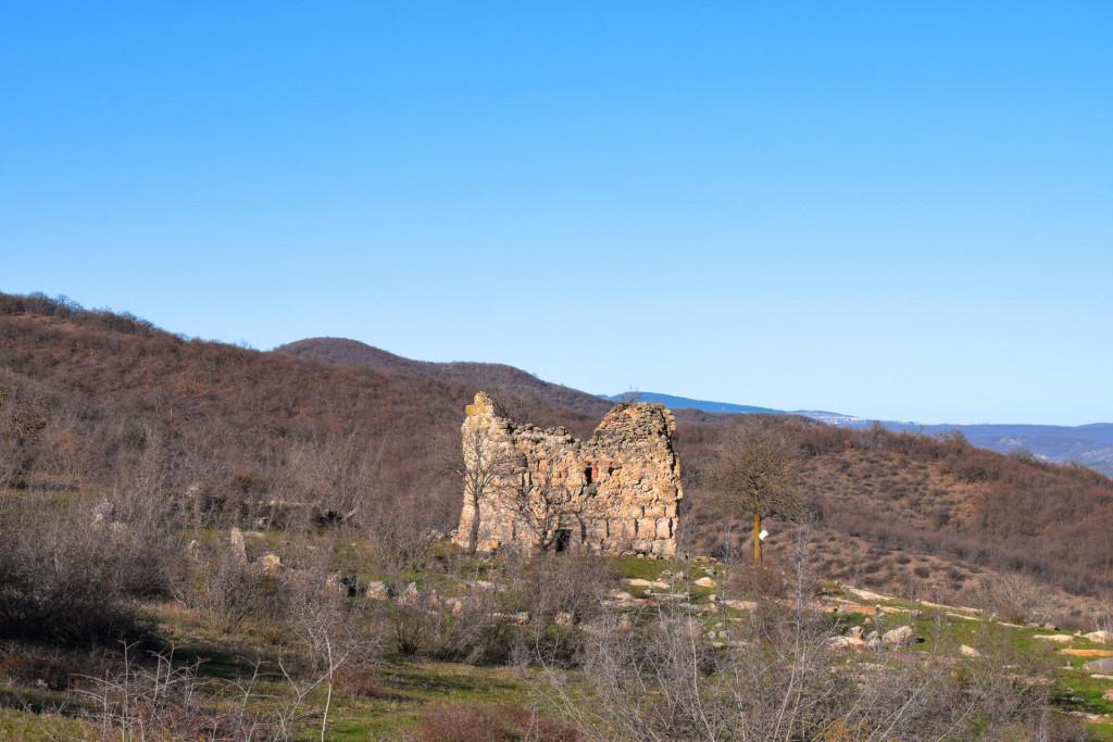 კიანეთის სვეტიცხოველი