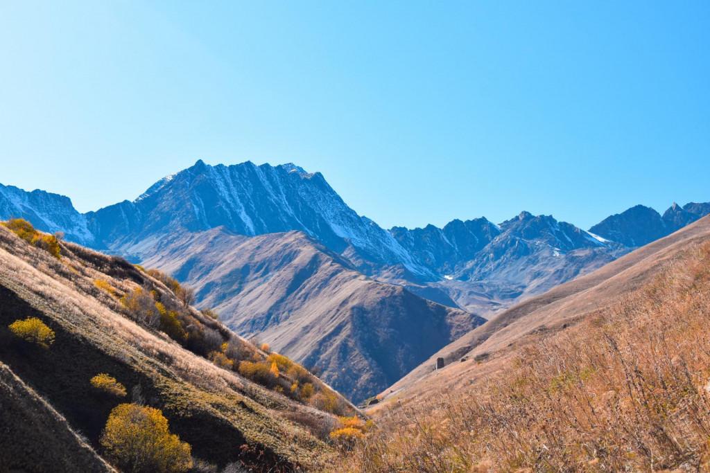 ჭიმღას თეთრაულების კოშკი
