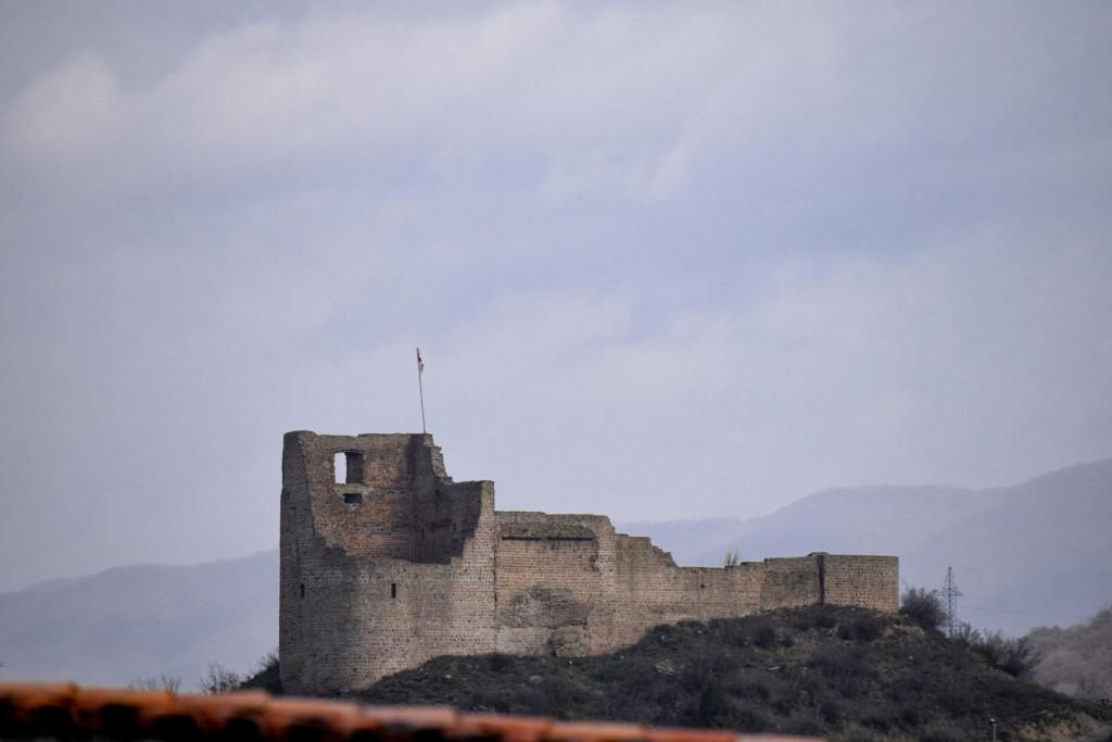 ბებრის ციხე