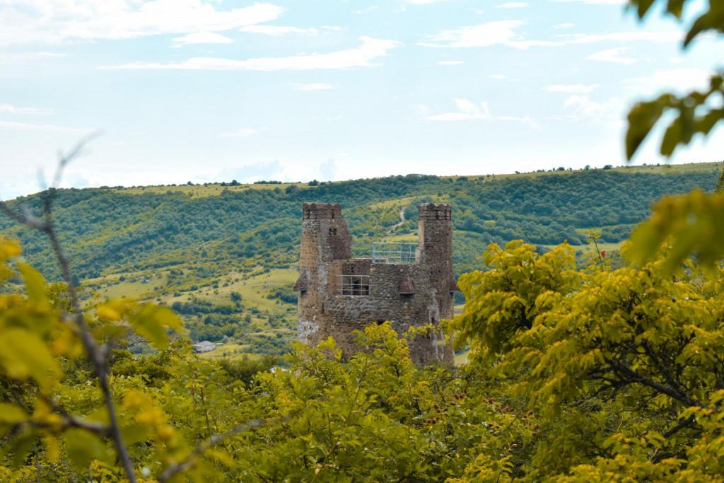 ფიცხელაურების მრიზიანთ კოშკი