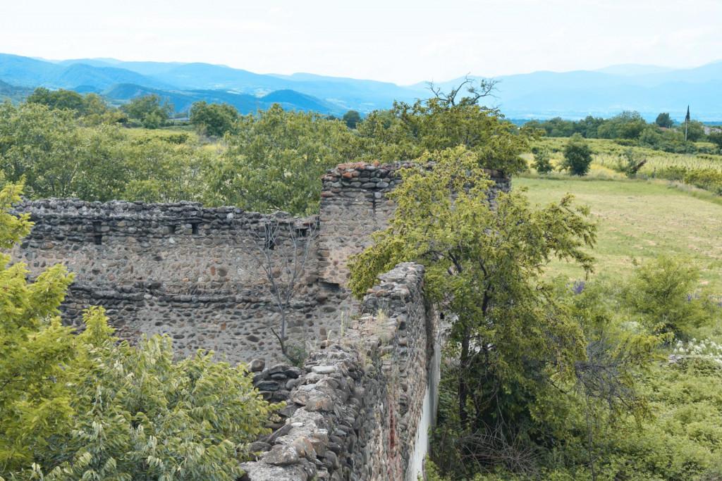 არტოზანის მაყაშვილების ციხე-დარბაზის კომპლექსი II