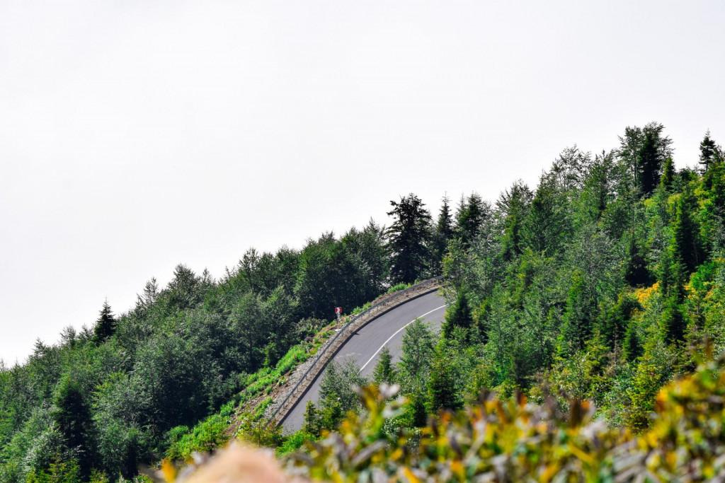 გომისმთა