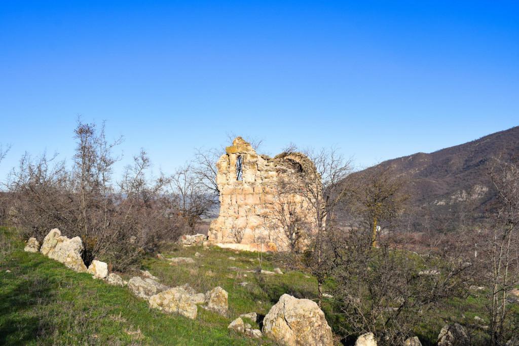 კიანეთის სვეტიცხოველი