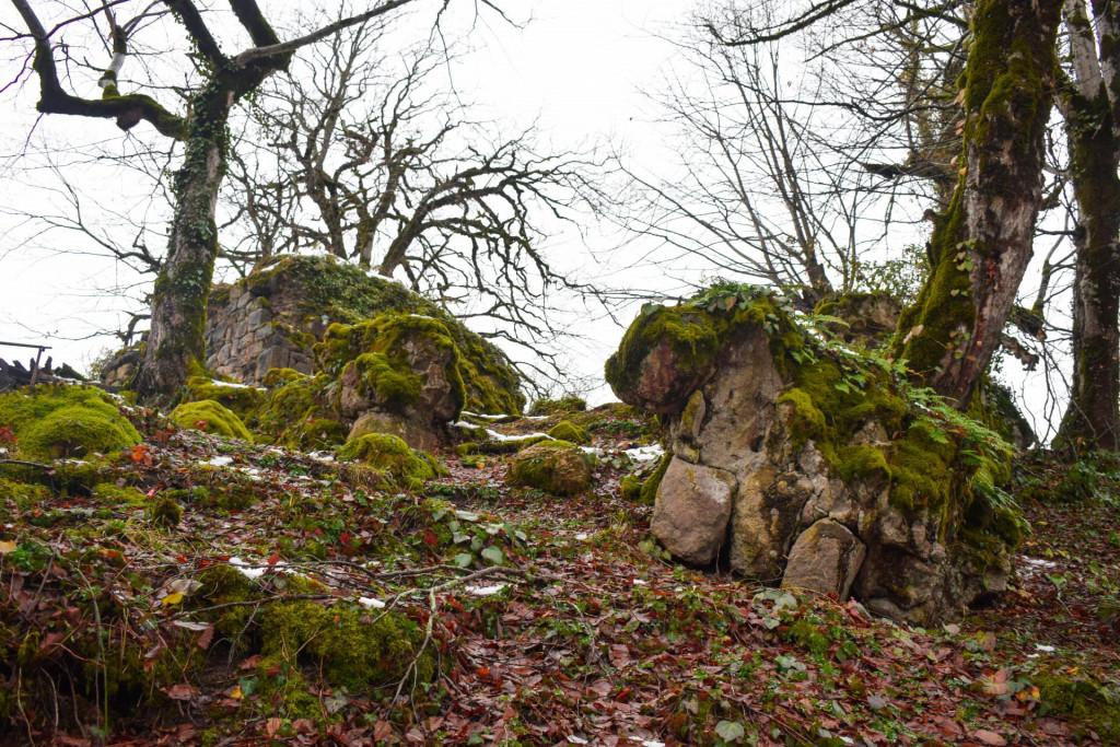 ჩიხის ციხე და ღვთისმშობლის ეკლესია