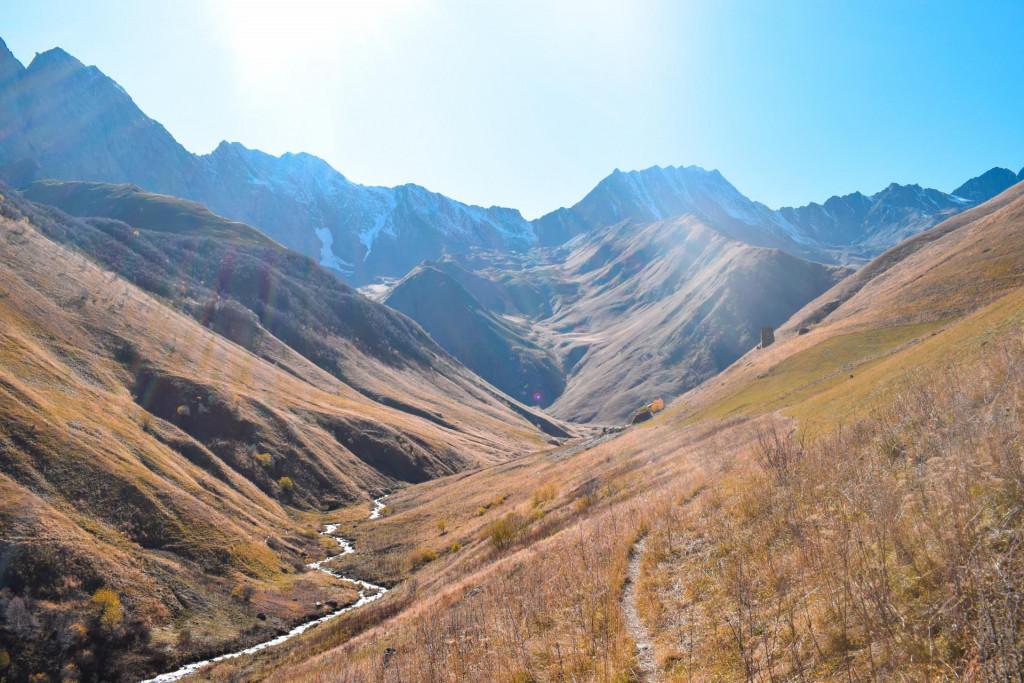 ჭიმღას თეთრაულების კოშკი