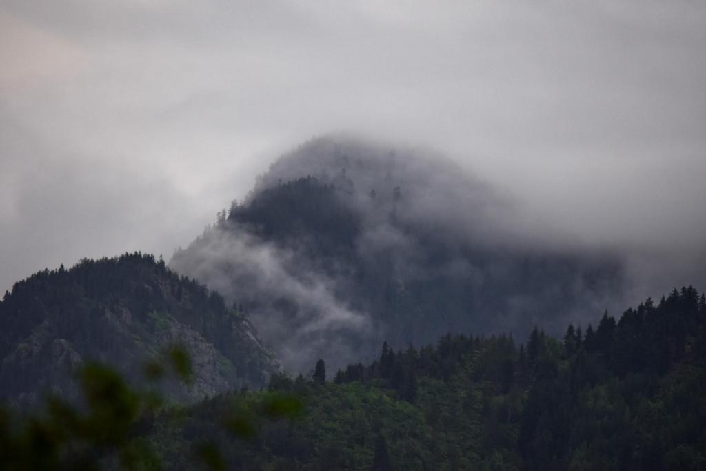 პარხალი