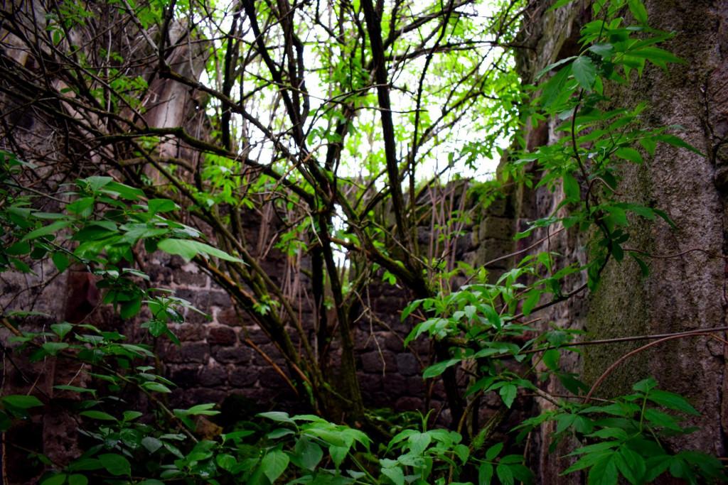 გომარეთის (ეგრისის) შავსაყდრების წმ. ნიკოლოზის ეკლესია