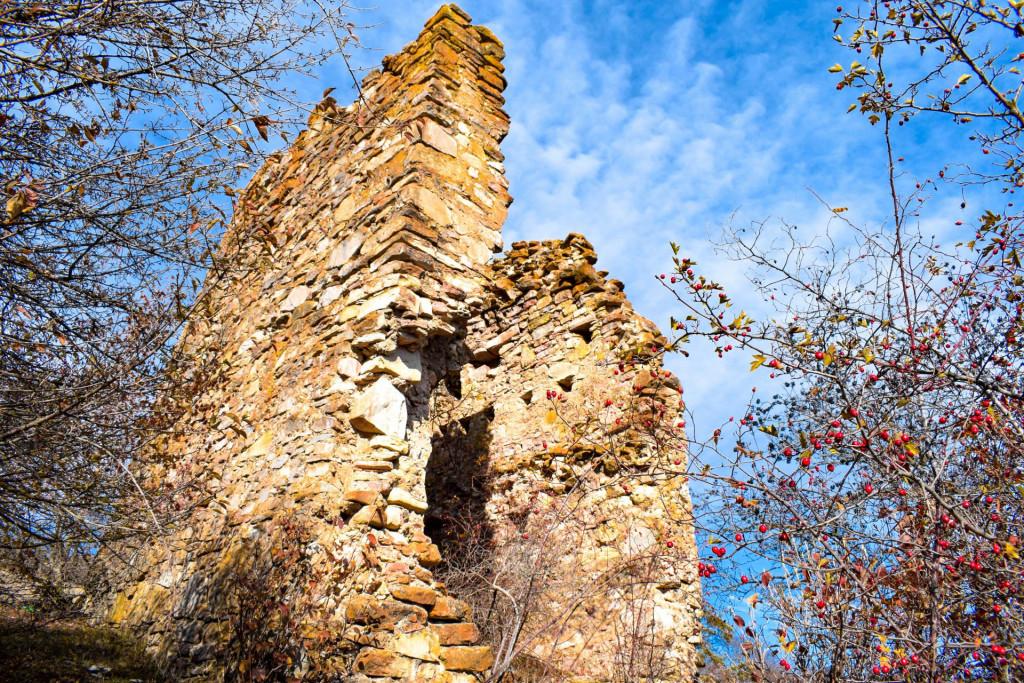 ბოდოჯის სასახლე