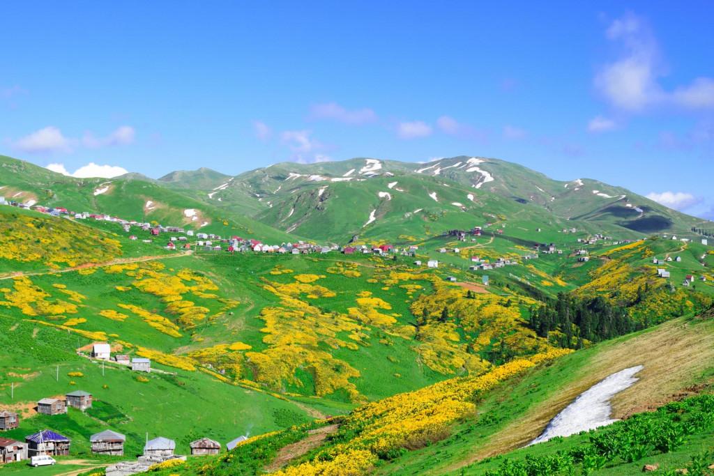 გომისმთა